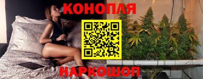 соль ск Ачхой-Мартан
